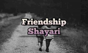Read more about the article [1060+] Friendship Shayari in Hindi – फ्रेंडशिप शायरी इन हिंदी (2025)