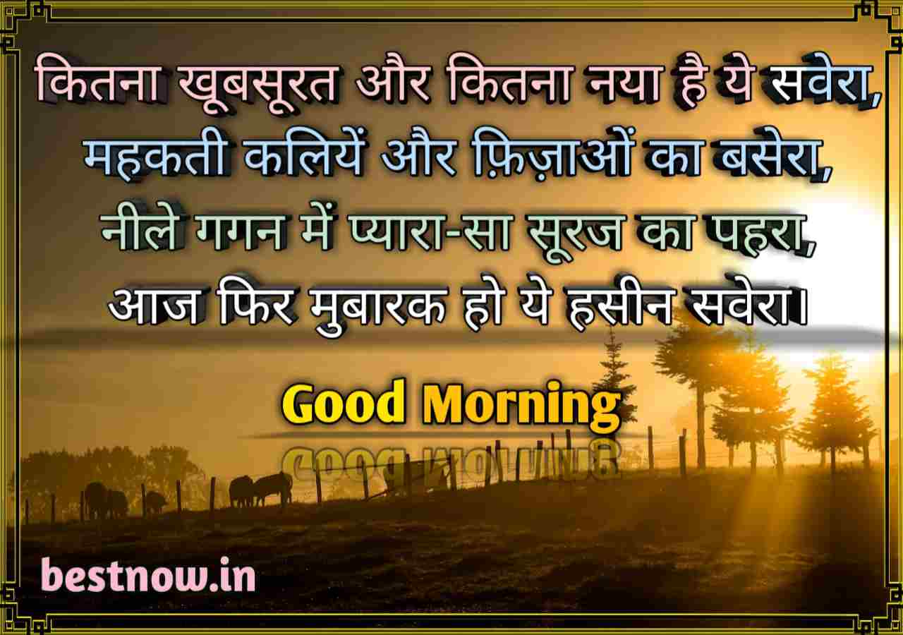 Good Morning Shayari 