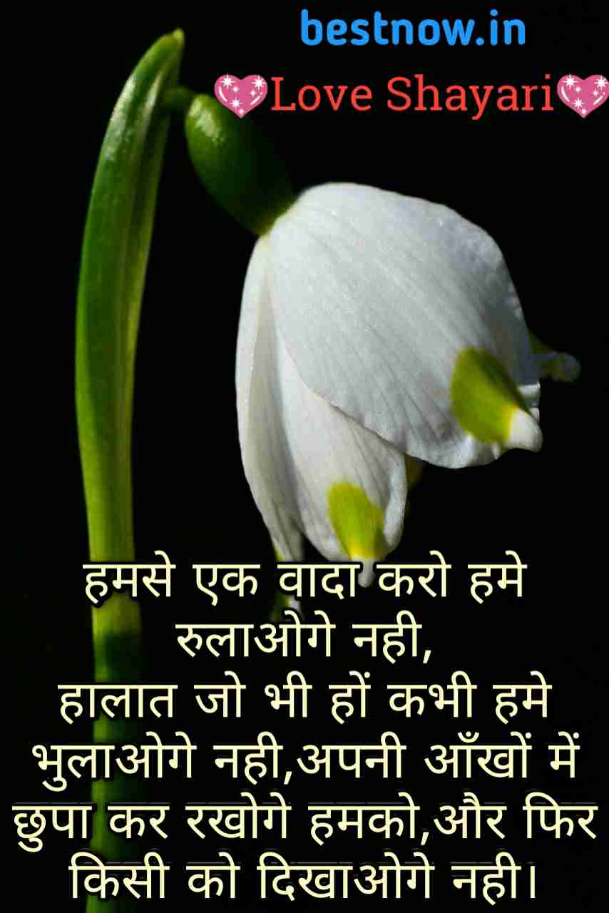 heart touching love shayari

