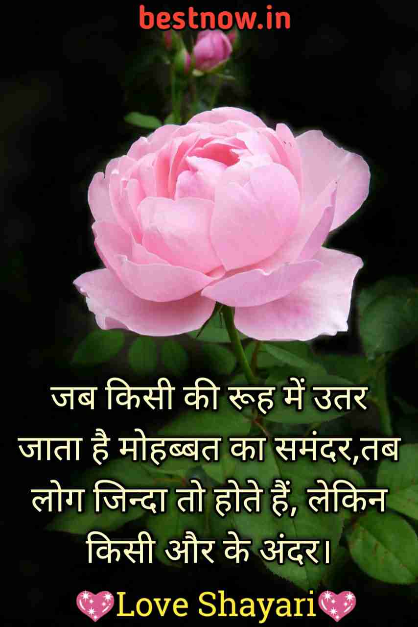 hindi love shayari

