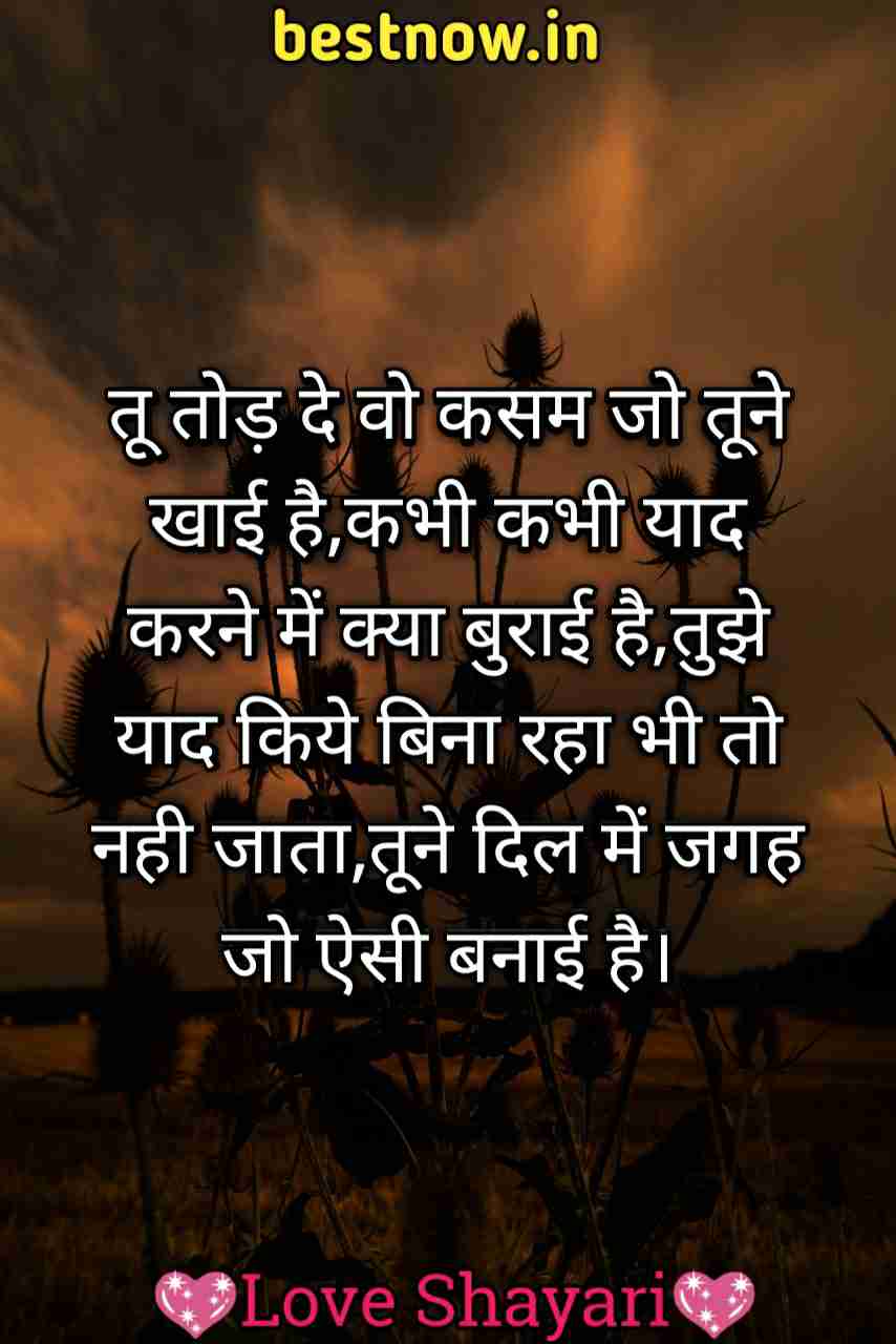 hindi love shayari

