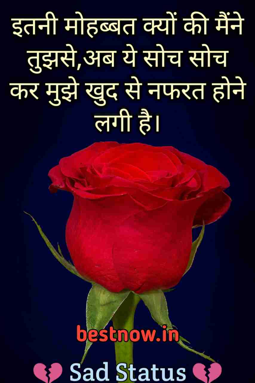 IMG 20181012 WA0040 1