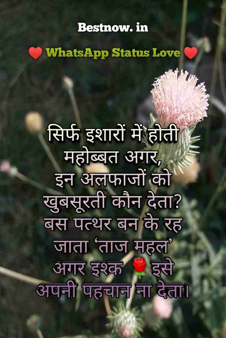 Whatsapp Status Love