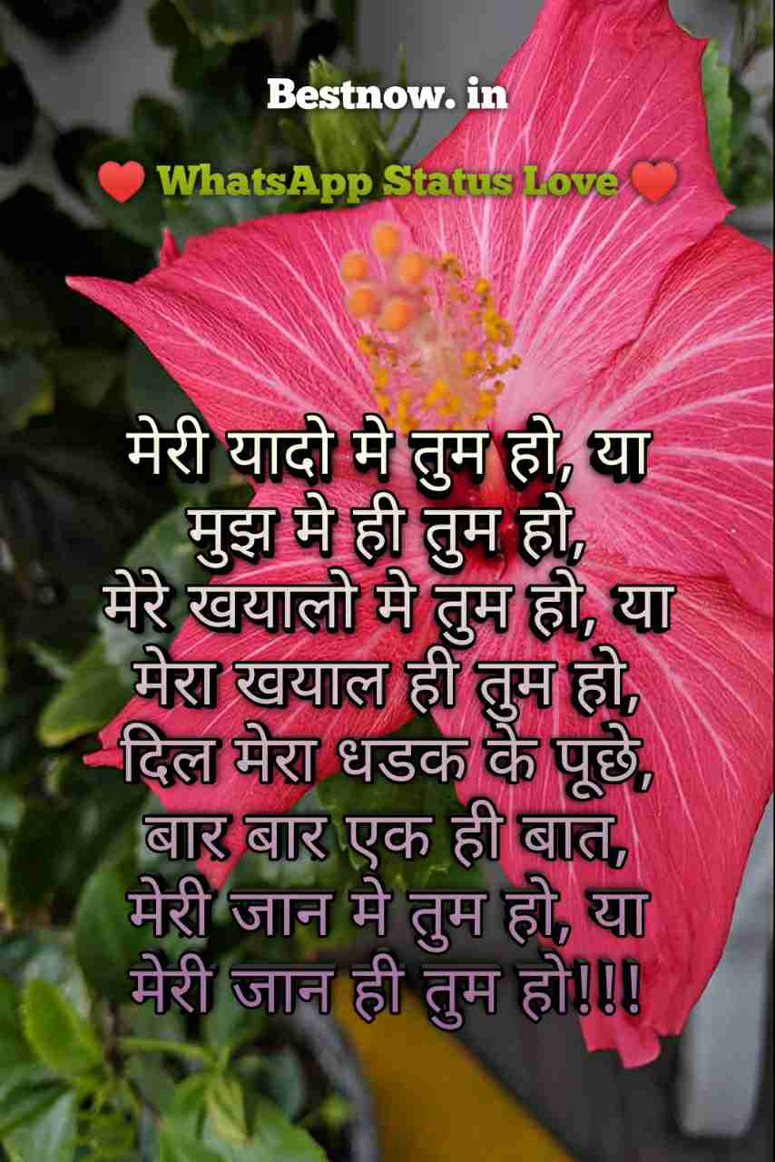 Whatsapp Status Love