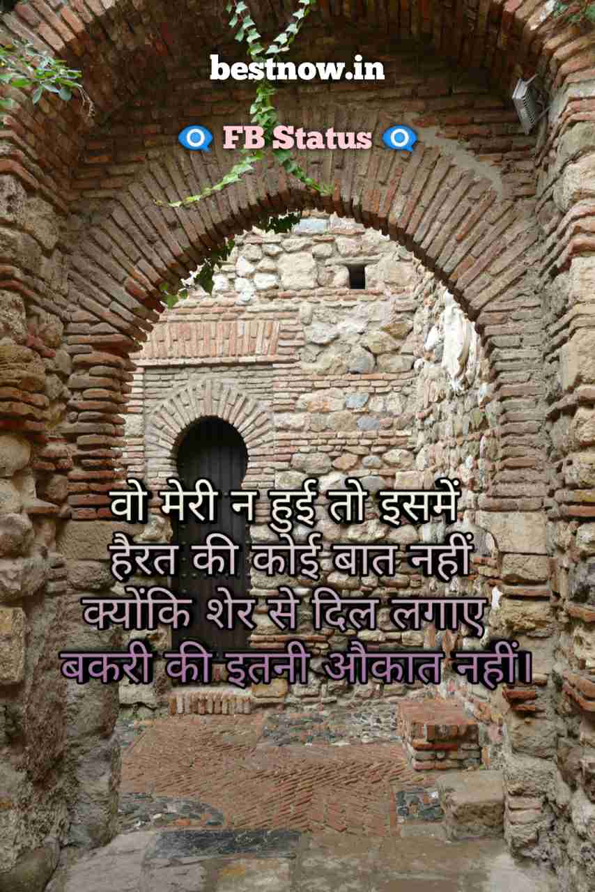 FB Status In Hindi