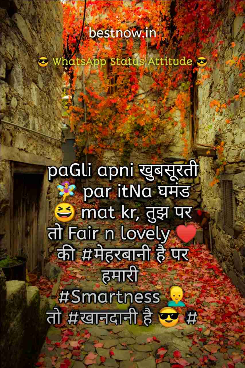 Whatsapp Status Attitude