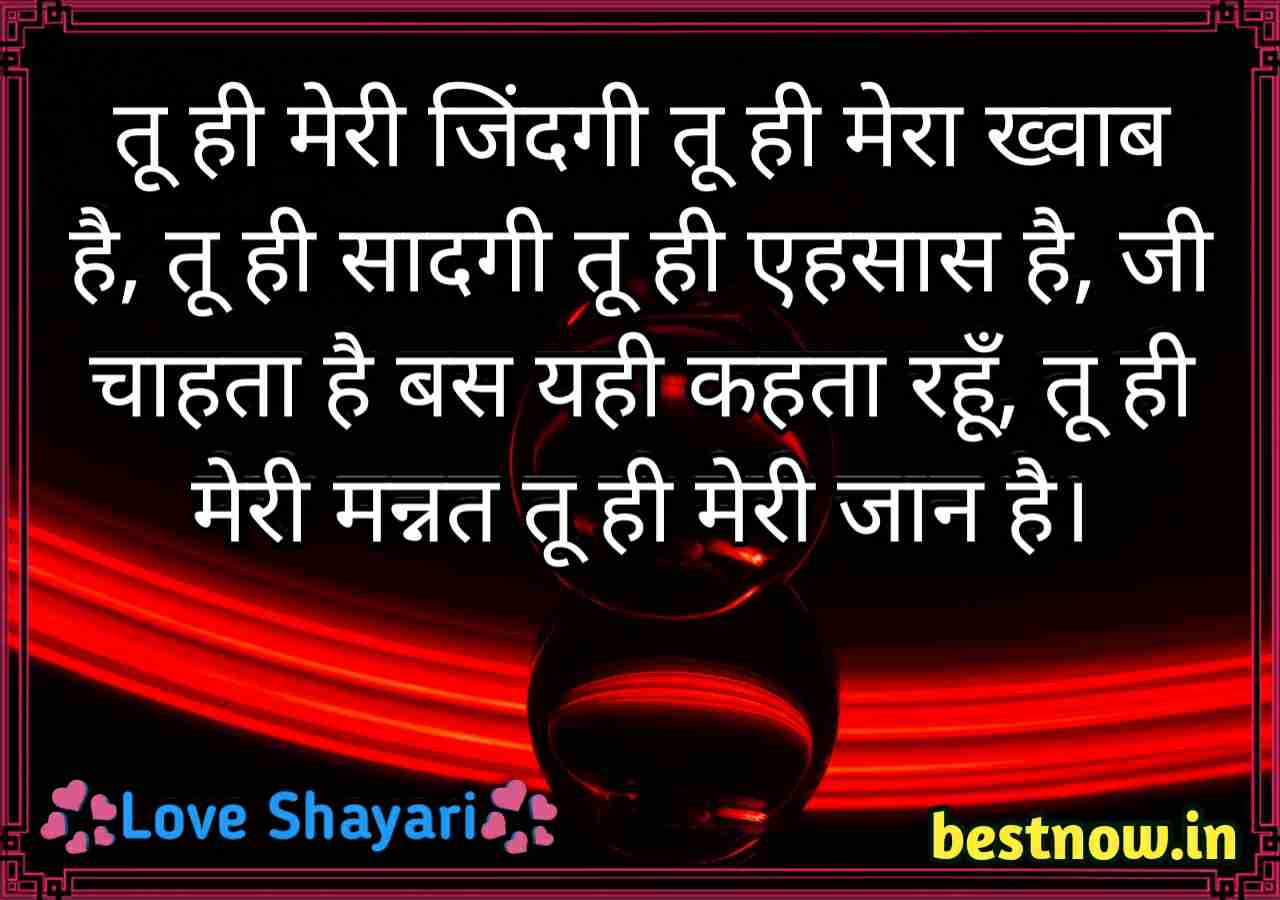 hindi shayari on love

