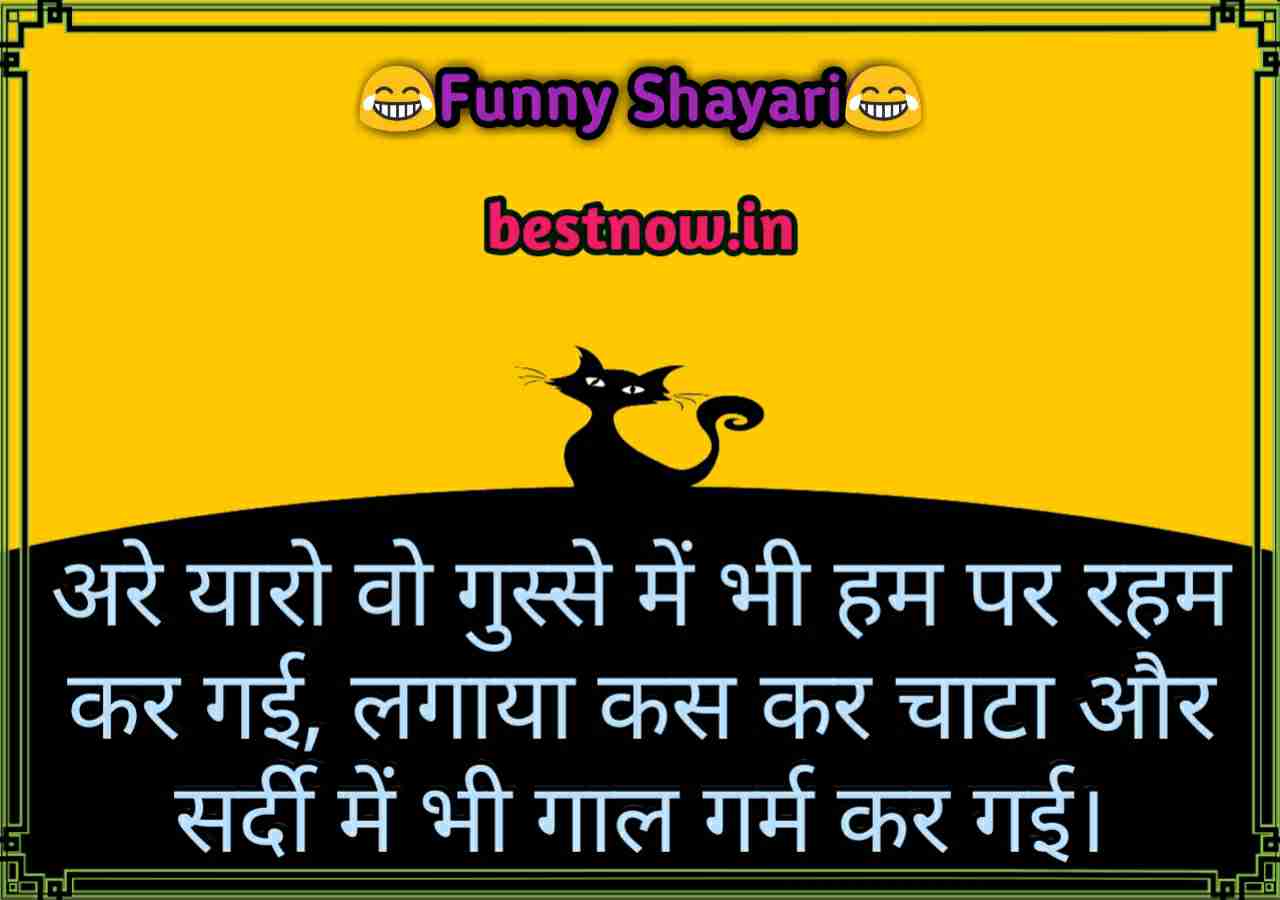 Funny Shayari