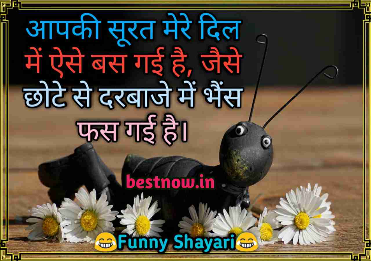 Funny Shayari