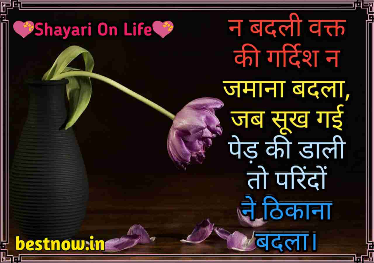 Shayari On Life
