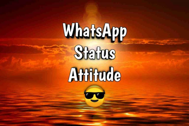 Whatsapp Status Attitude