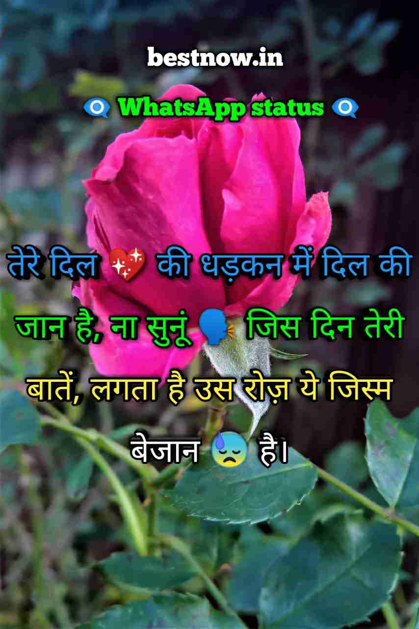 Whatsapp Status In Hindi