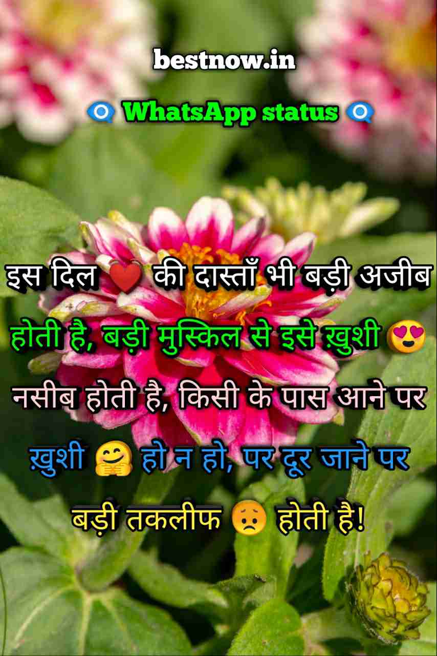 Whatsapp Status In Hindi