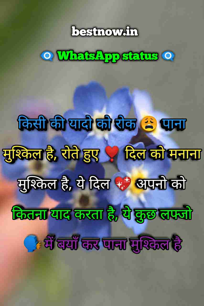 Whatsapp Status In Hindi