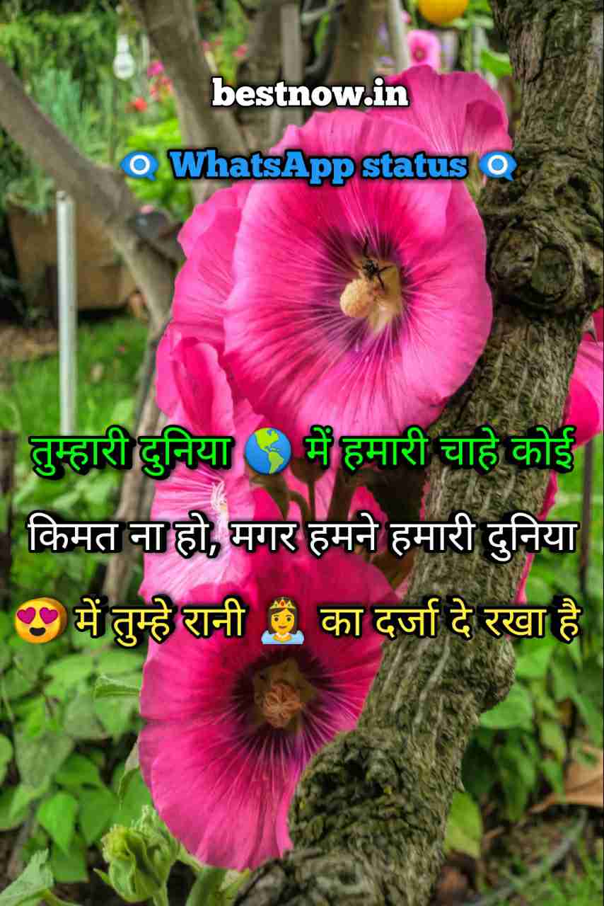 Whatsapp Status In Hindi