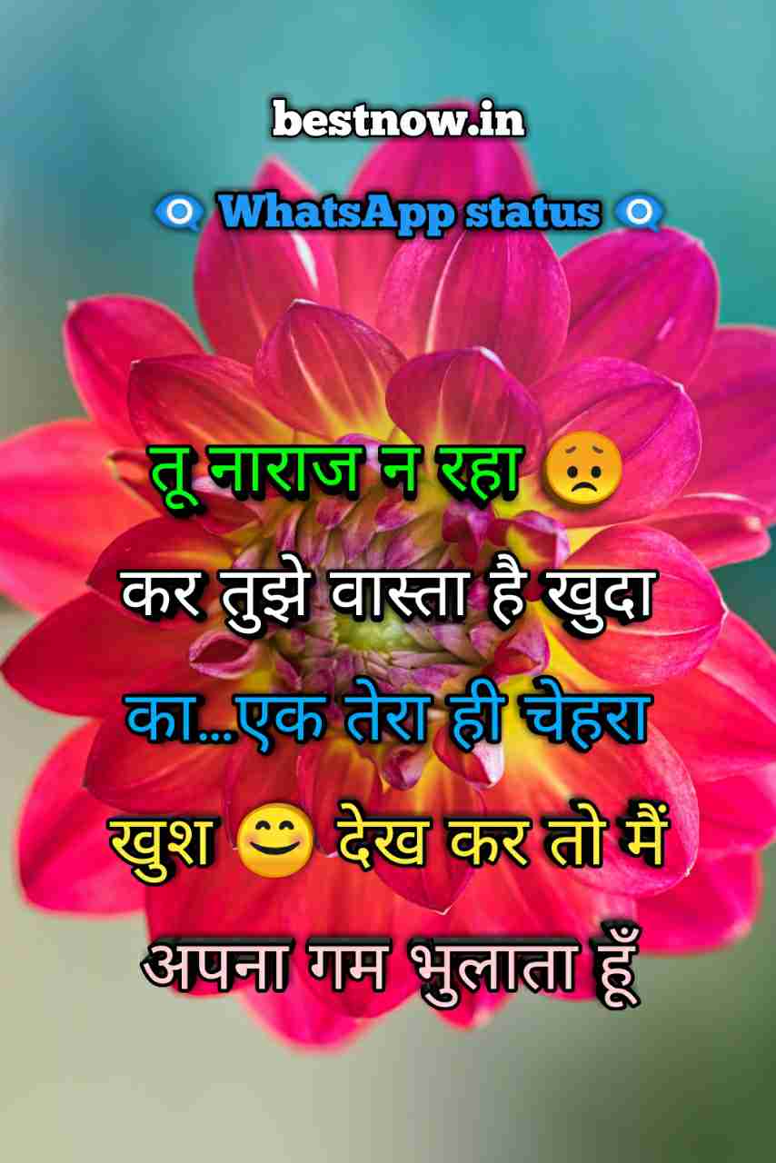 Whatsapp Status In Hindi