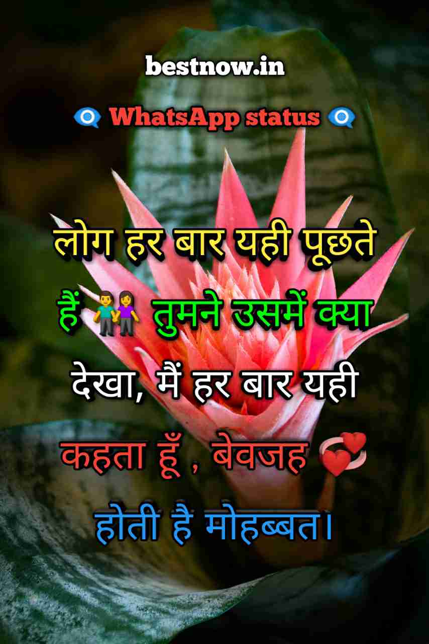 Whatsapp Status In Hindi