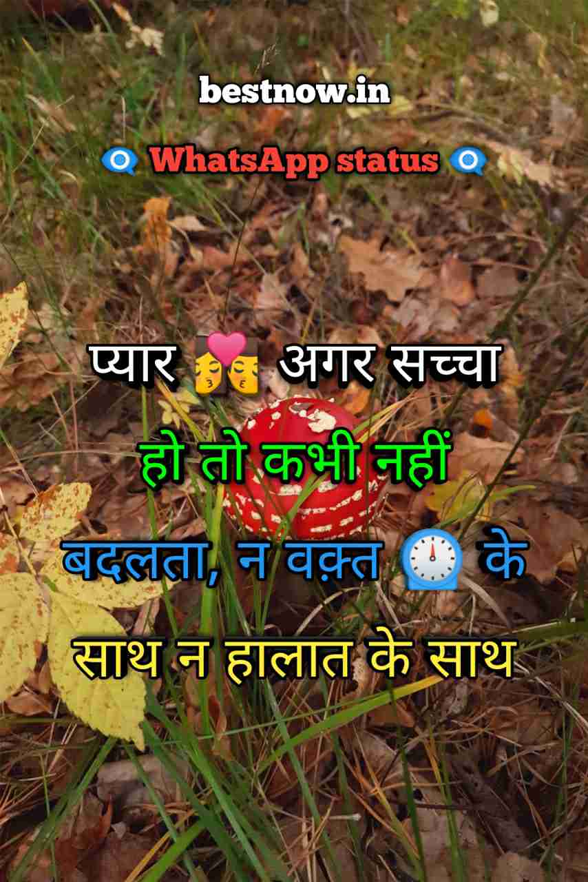 Whatsapp Status In Hindi
