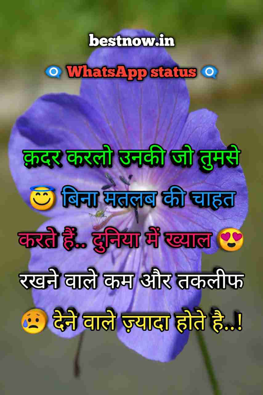 Whatsapp Status In Hindi