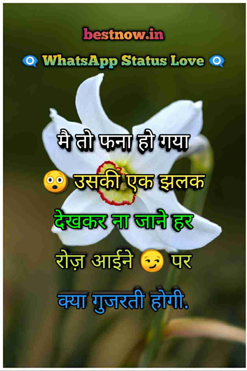 Whatsapp Status Love
