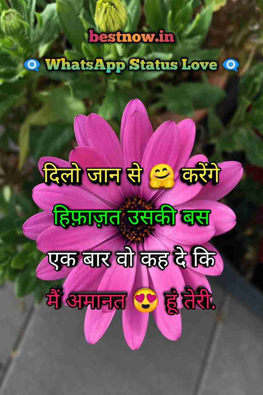 Whatsapp Status Love