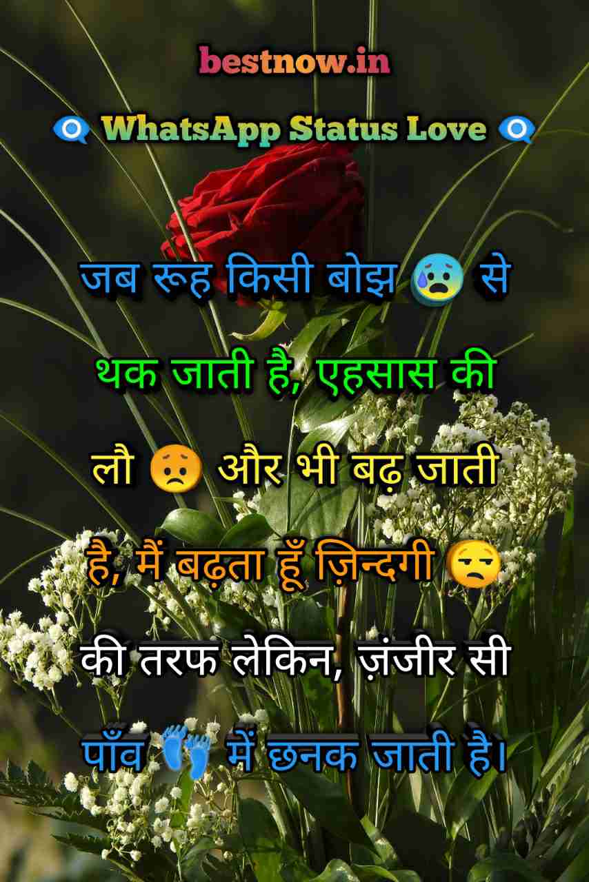 Whatsapp Status Love