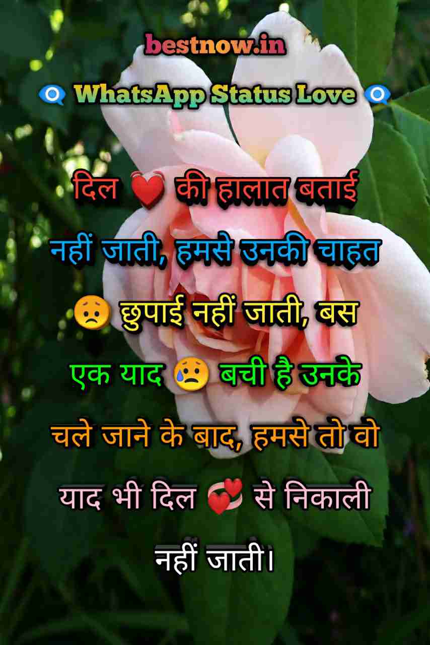 Whatsapp Status Love