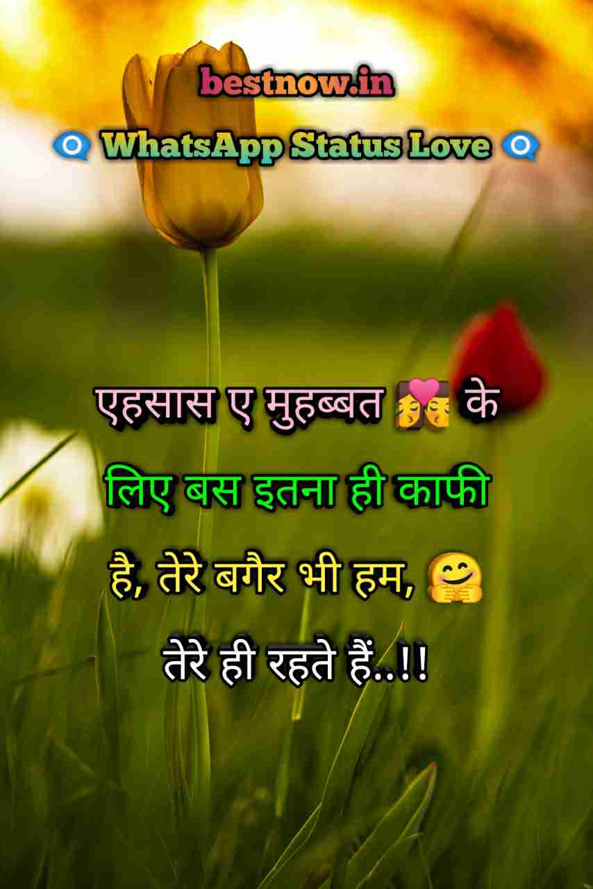 Whatsapp Status Love