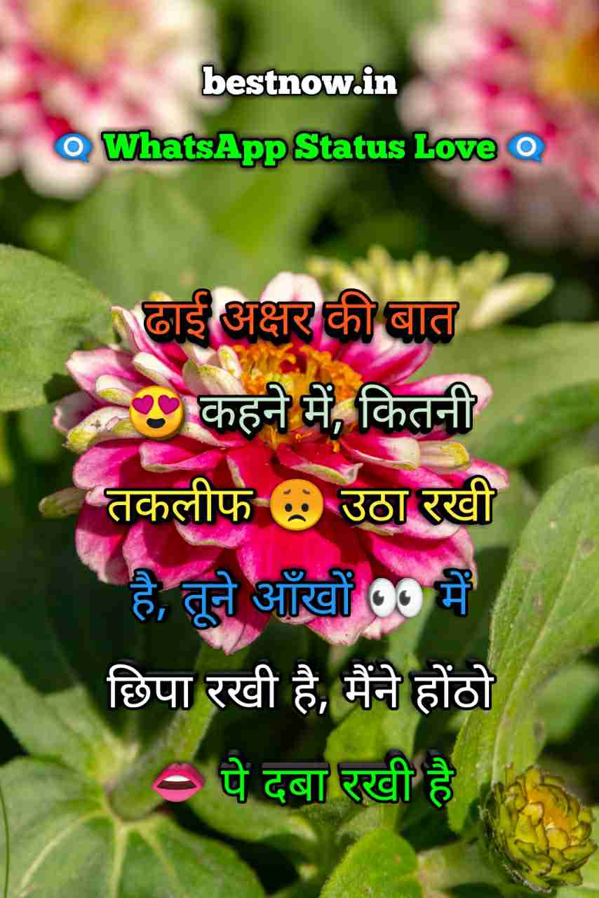 Whatsapp Status Love