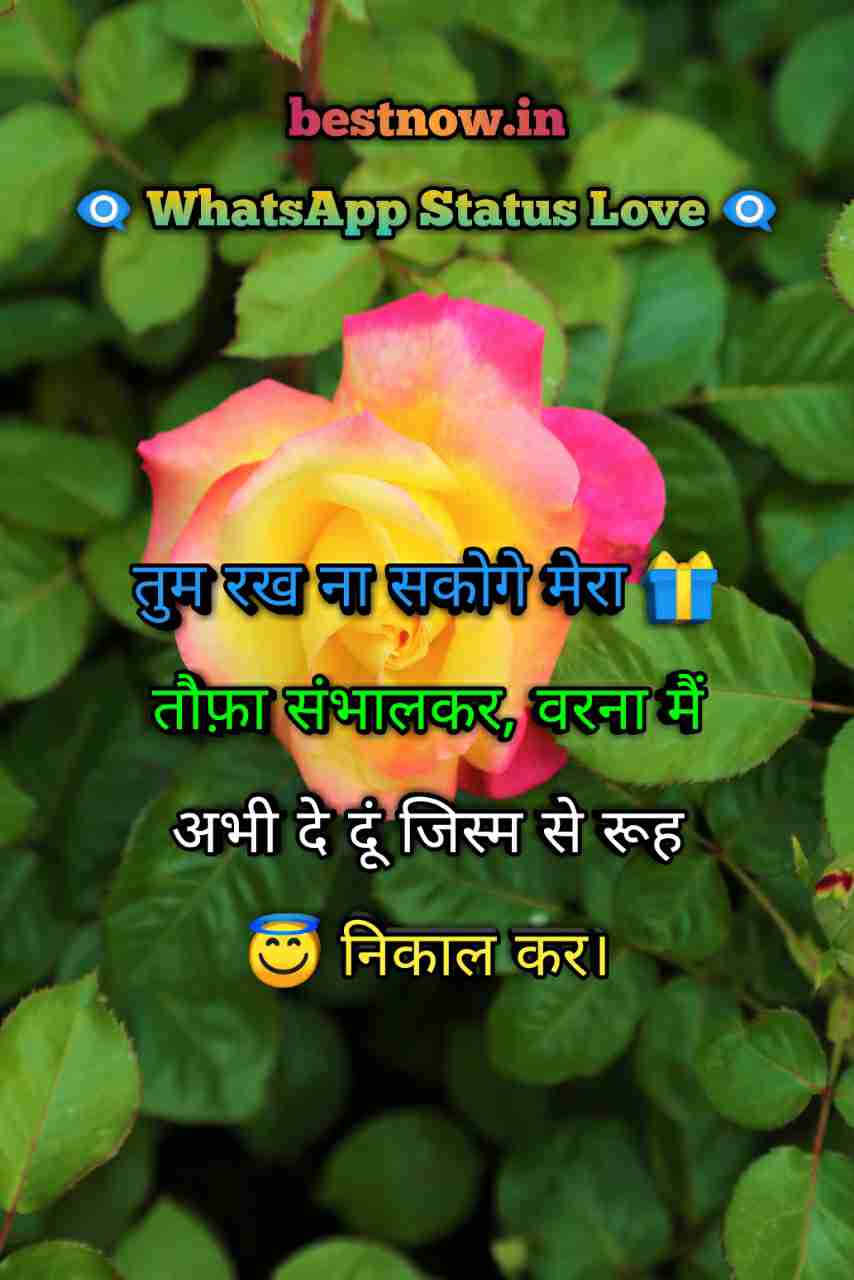 Whatsapp Status Love