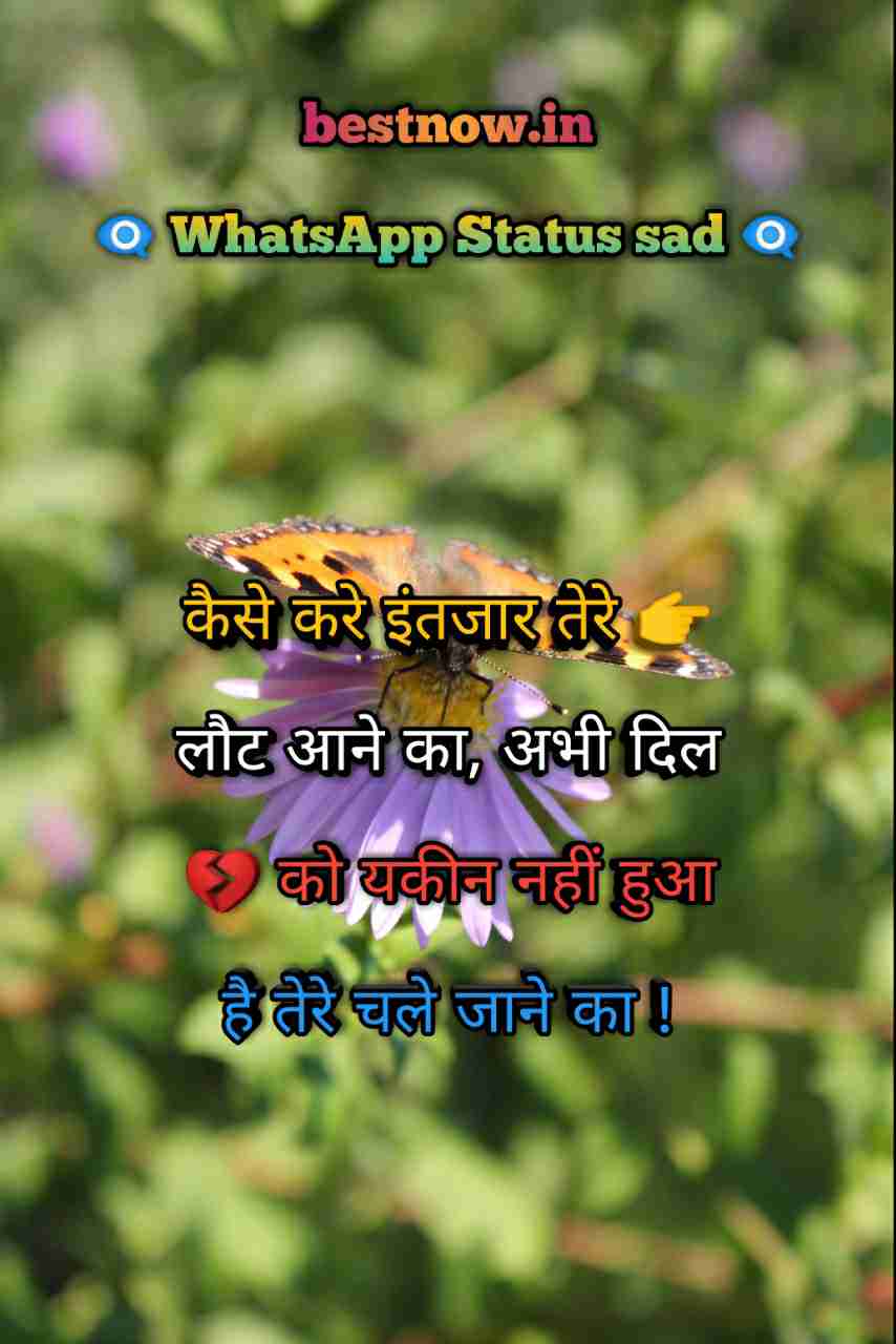 Whatsapp Status Sad