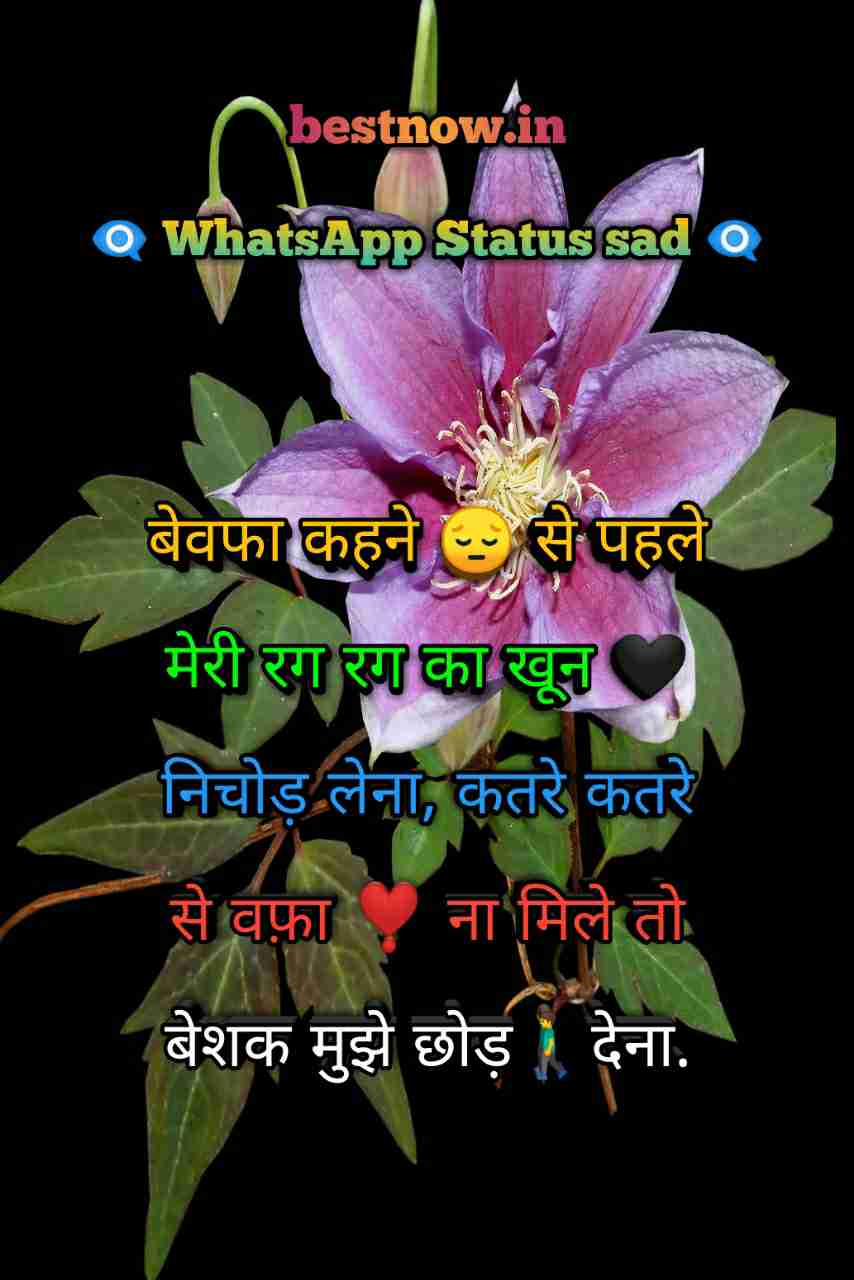 Whatsapp Status Sad