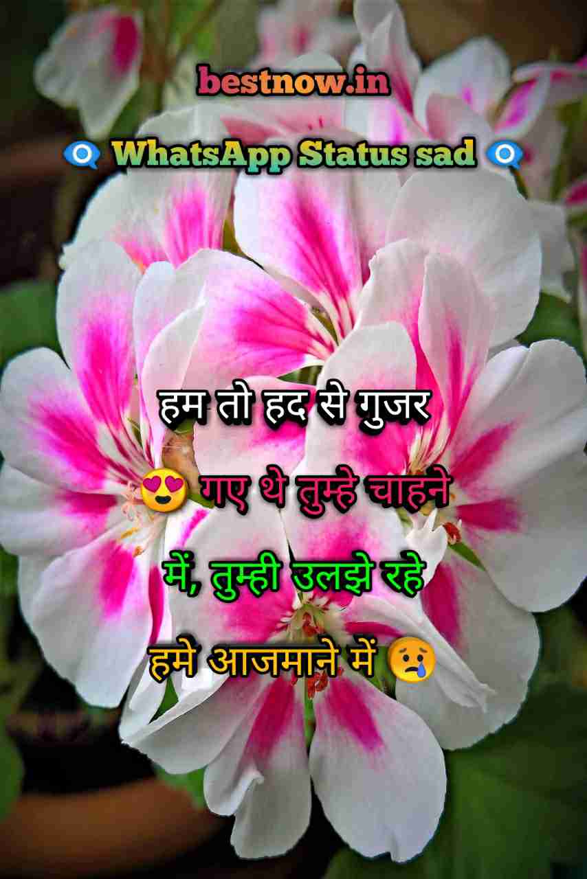 Whatsapp Status Sad