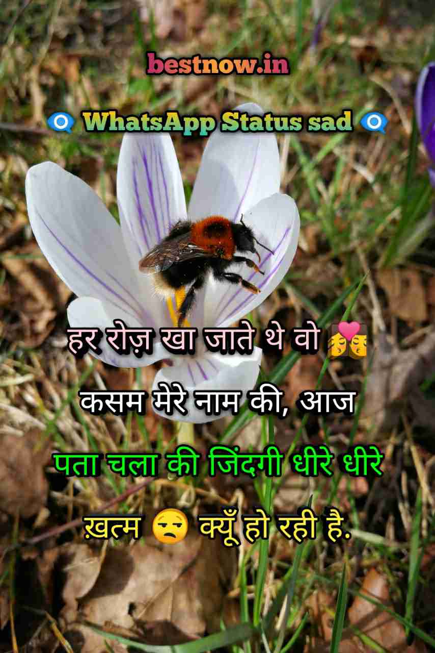 Whatsapp Status Sad