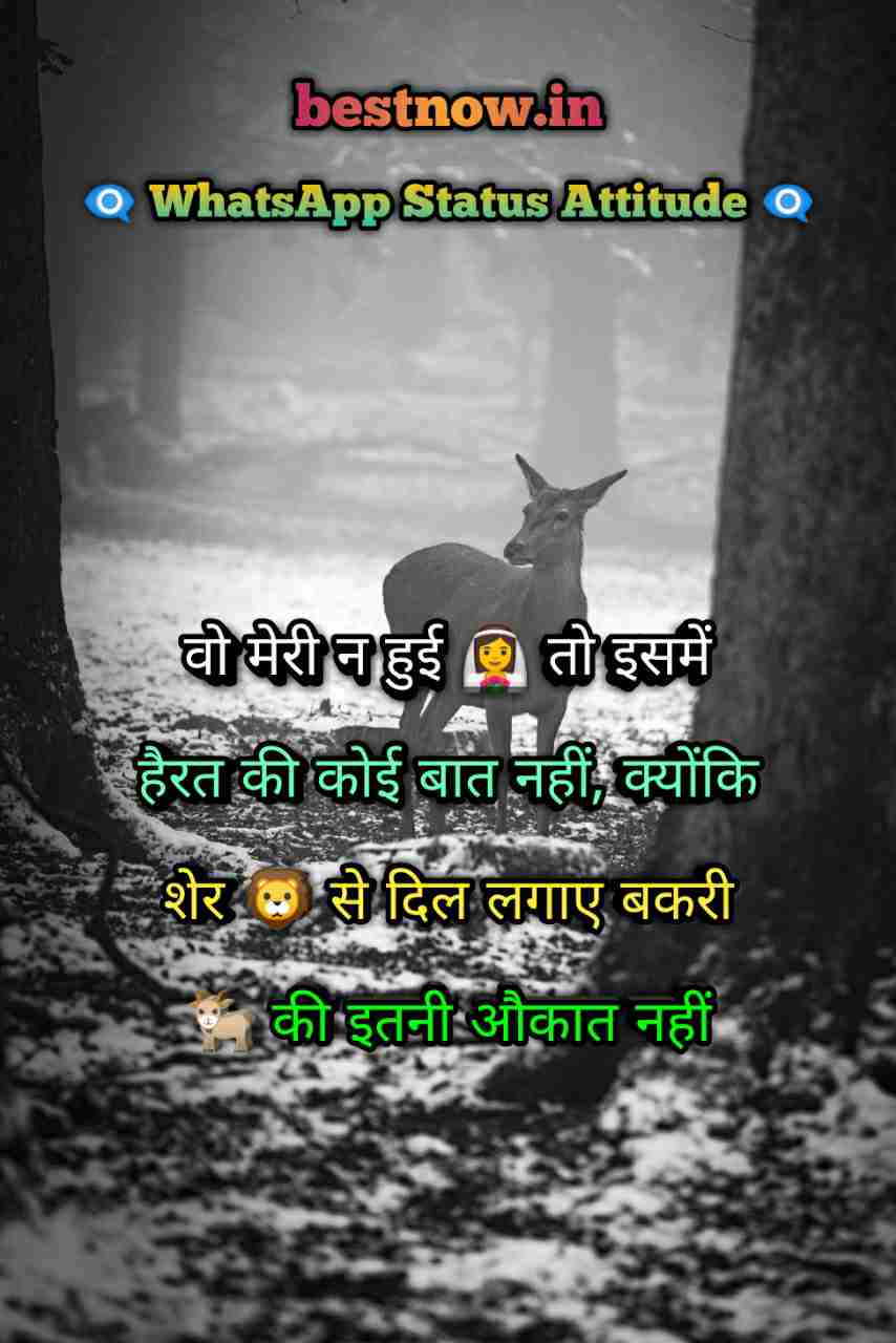 Whatsapp Status Attitude