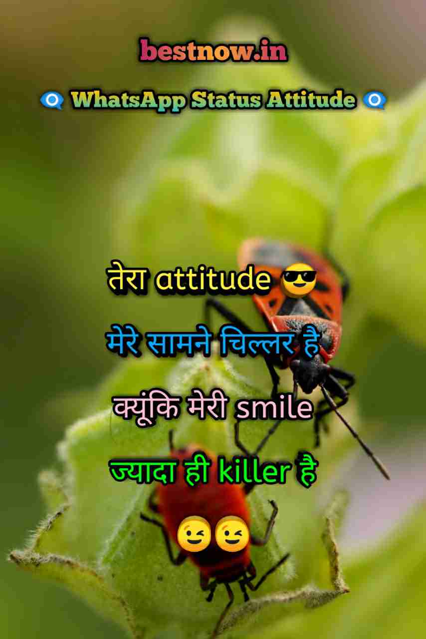 Whatsapp Status Attitude