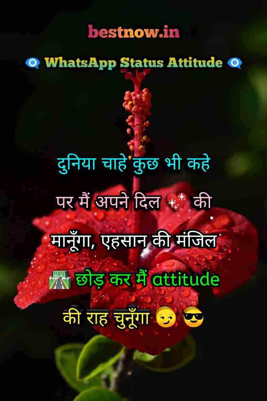 Whatsapp Status Attitude