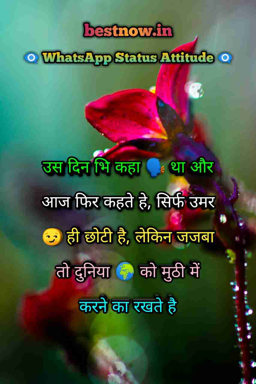 Whatsapp Status Attitude