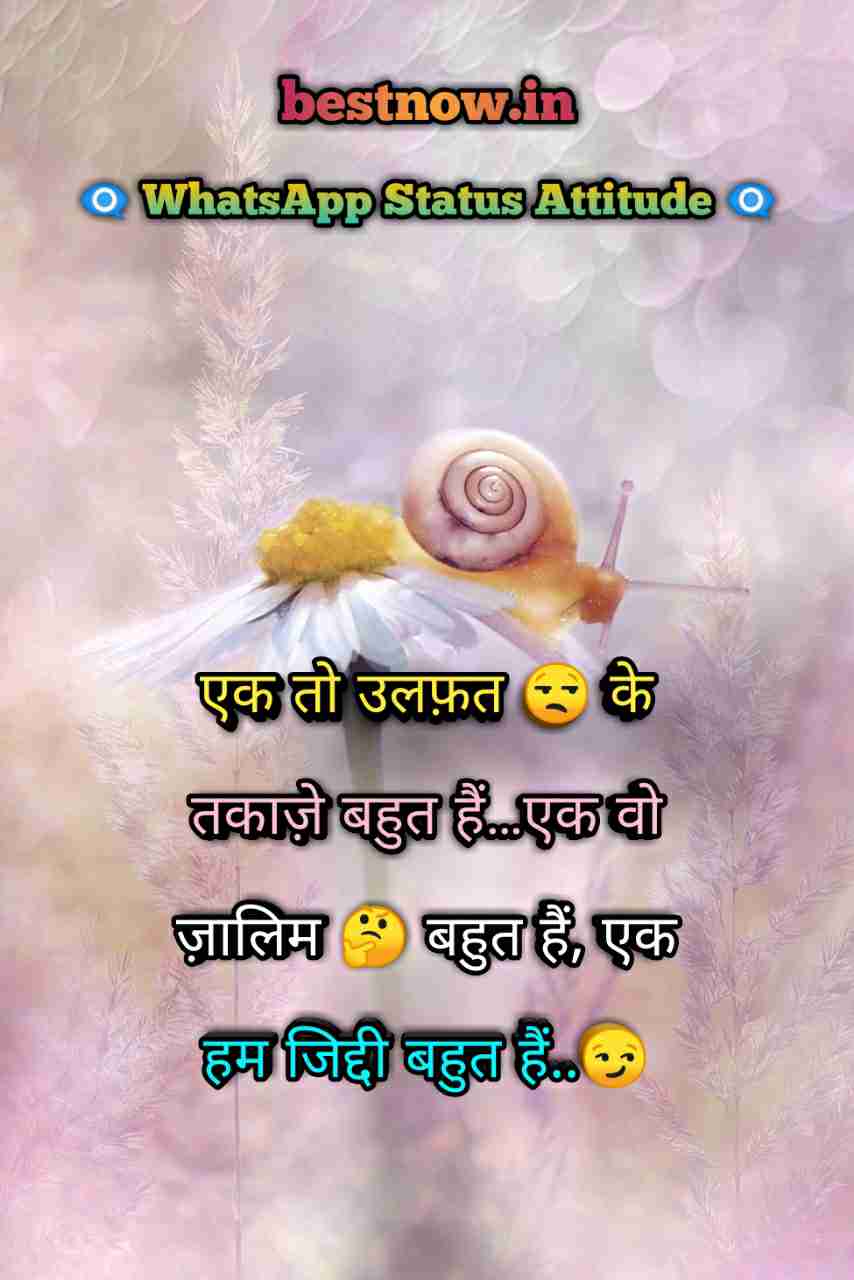 Whatsapp Status Attitude
