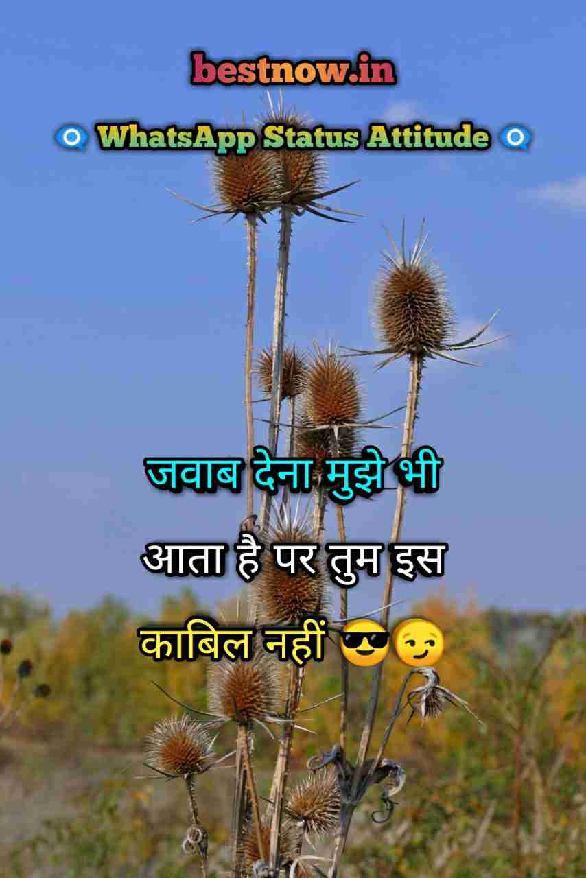 Whatsapp Status Attitude