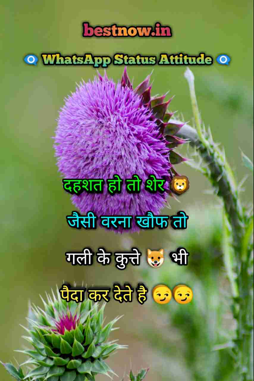 Whatsapp Status Attitude