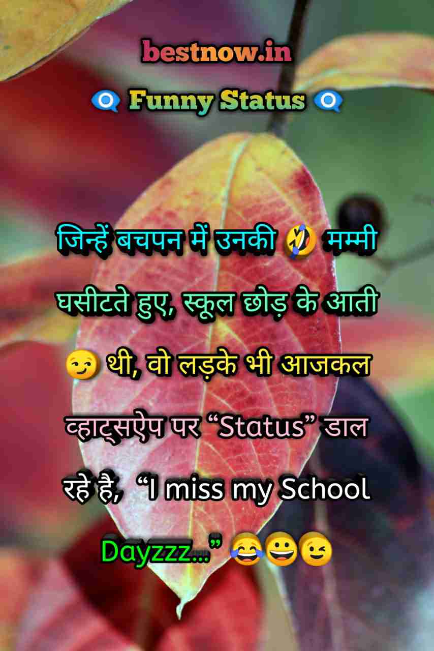 Funny Status