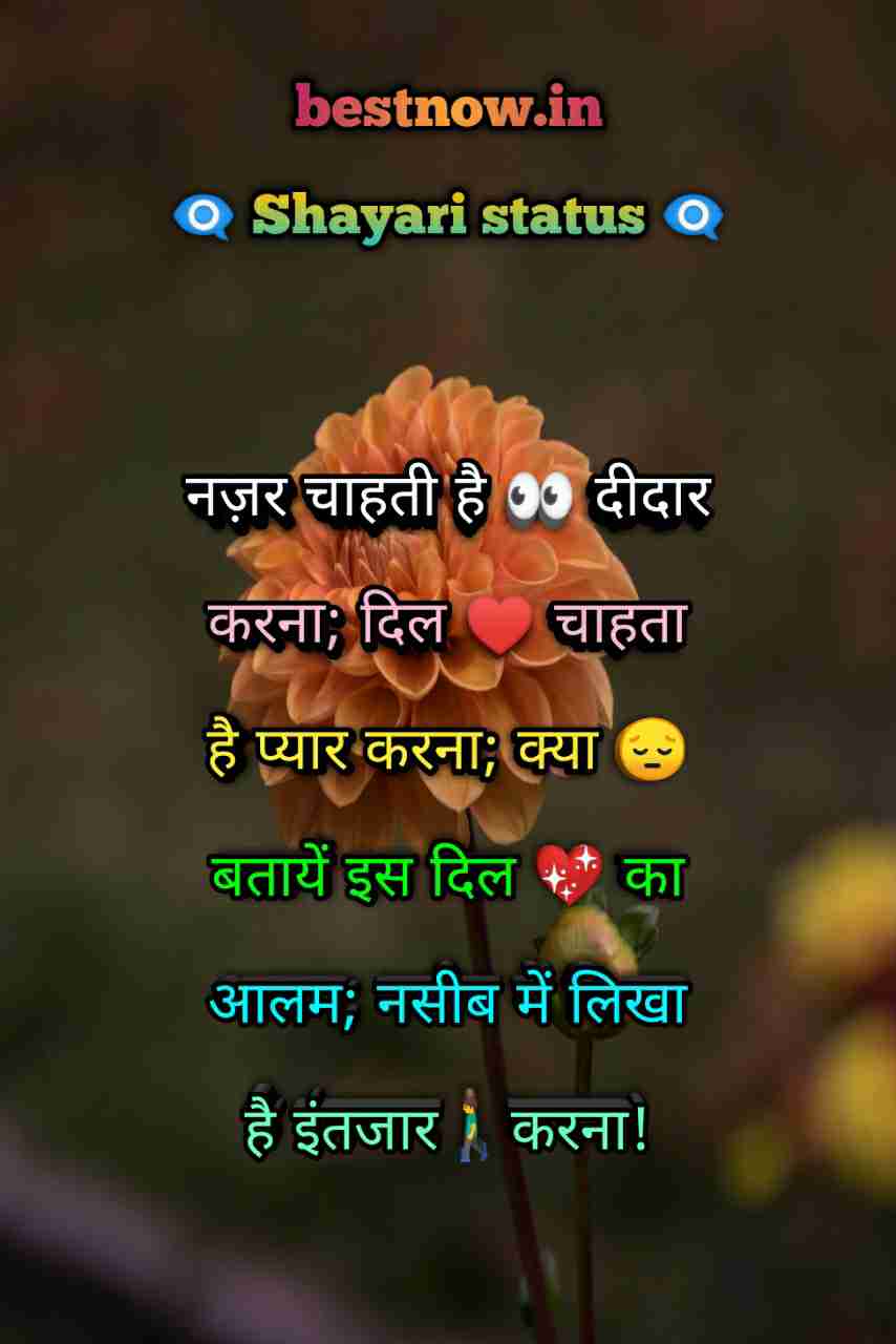 Shayari Status