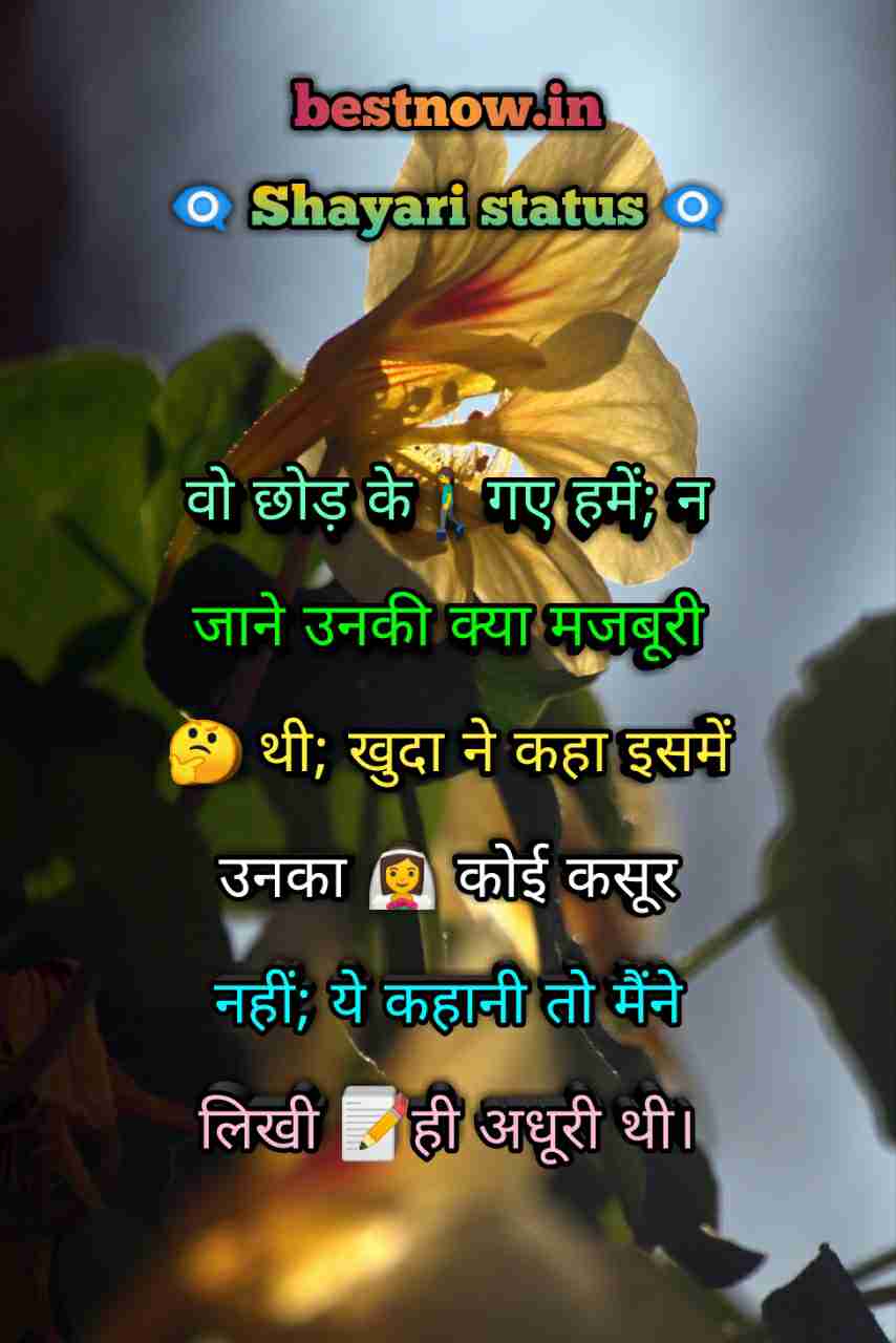 Shayari Status