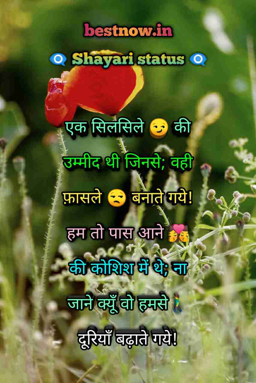 Shayari Status