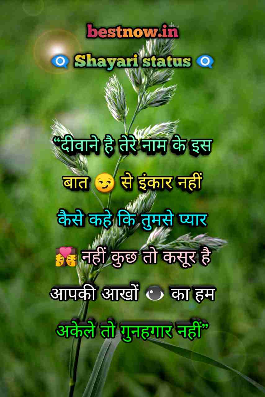 Shayari Status