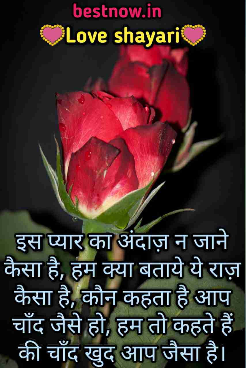 love shayari in hindi

