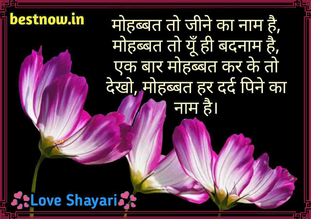 hindi shayari on love

