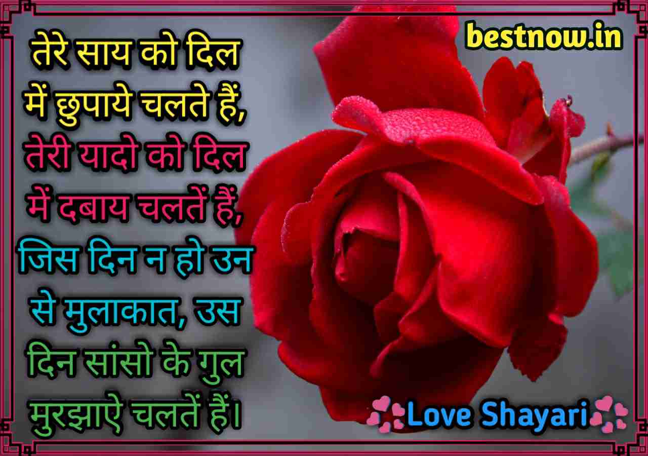 hindi shayari on love

