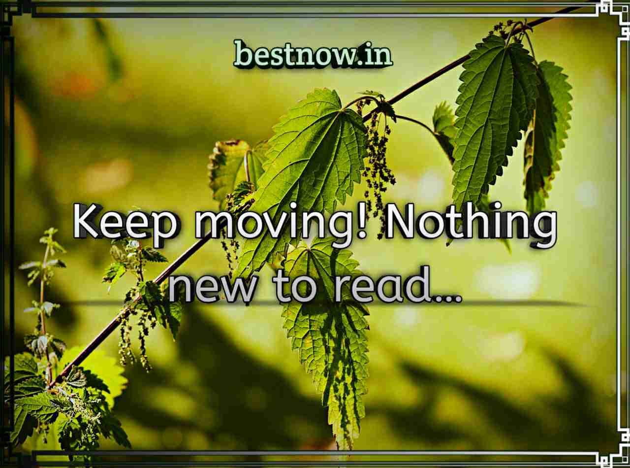 Attitude Status In English